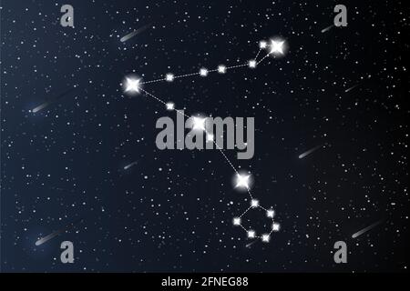 Fische. Sternbild im Weltraum im Hintergrund. Mystery und esoterisch. Horoskop Vektor Illustration. Spirituelles Tarot-Poster. Magisch okkult Stock Vektor