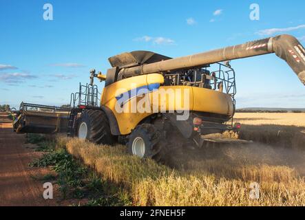 Ernte von Reis auf der Farm in der Nähe von Griffith in New South Wales, Australien Stockfoto