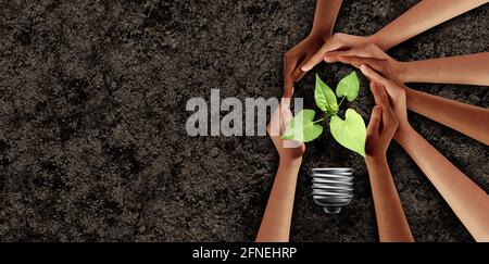 Earth Day Idee und Landwirtschaft unterstützen oder Ökologie Einheit als Hände in einer Gruppe von Menschen miteinander verbunden helfen, einen Keimling zum Ausdruck zu schützen. Stockfoto