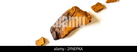 Chaga Pilz. Gebrochene Stücke von Birke Baum Chaga Pilz für die Brauen von natürlichen medizinischen antitumor, entzündungshemmende und antivirale Entgiftungstee, Isolation Stockfoto