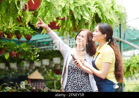 Lächelnde reife Frau, die im Gartencenter arbeitet und sie bittet, sie zu geben Farn im hängenden Topf Stockfoto