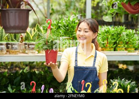 Porträt einer glücklichen, aufgeregten jungen Frau, die Farnpflanzen ansieht In einem Topf mit Aufhänger, der im Garten verkauft wird Zentrieren Stockfoto