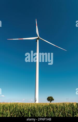 Groß mit Turbine und kleinem Baum im Feld, erneuerbare Energie und nachhaltige Ressourcen Stockfoto