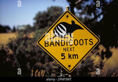 Ein Straßenschild auf dem Moonie Highway in Queensland warnt vor Bandicoots. [Automatisierte Übersetzung] Stockfoto