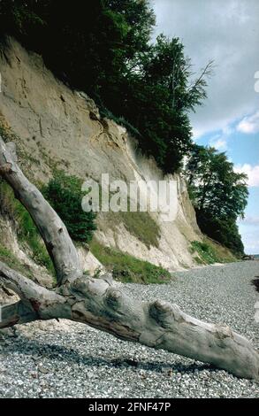 Strand- und Kreidefelsen am Königstuhl auf der Insel Rügen. [Automatisierte Übersetzung] Stockfoto