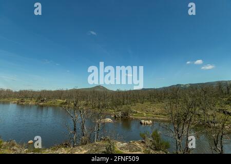 Senda de las Pesquerías Reales, Valsaín (Segovia) Stockfoto