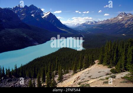 Peyto Lake im kanadischen Bundesstaat Alberta vom Bow Summit aus gesehen. [Automatisierte Übersetzung] Stockfoto