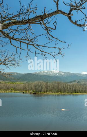 Senda de las Pesquerías Reales, Valsaín (Segovia) Stockfoto