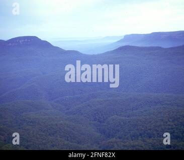 Nebel über den Blue Mountains in der Nähe von Sydney. [Automatisierte Übersetzung] Stockfoto