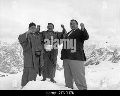 Drei Sumoringer stehen mit erhobenen Fäusten auf dem Gipfel der Zugspitze. Im Hintergrund die Alpen. [Automatisierte Übersetzung] Stockfoto