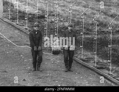 Berlin-Neukoelln / DDR / Mauer / 10 / 1980 DDR-Grenzposten ziehen neuen Stacheldraht entlang der Mauer, der Bouchestrasse zwischen Neukoelln und Treptow. Es wird elektrisch geladen und löst bei Berührung einen Alarm aus. Oben links befindet sich West-Berlin. Die Wand ist weiß gestrichen, um Flüchtlinge hervorstechen zu lassen. Die beiden Grenzposten davor achten darauf, dass die anderen nicht in den Westen fliehen. // Stacheldraht / Grenzbefestigungen / Bezirke [automatisierte Übersetzung] Stockfoto