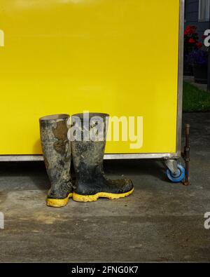 Ein schlammiges Paar gummistiefel mit gelben Sohlen vor einem gelben Behälter. Stockfoto