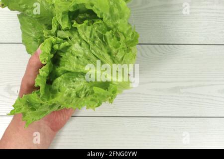 Männliche Hand mit einem grünen Eissalat aus dem Gartenbau Ein Holzhintergrund Stockfoto