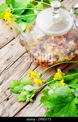 Heilende Tinktur von Celandin in einer Flasche.Kräutermedizin.Kräuterheilender Tee.Kräutertee. Stockfoto