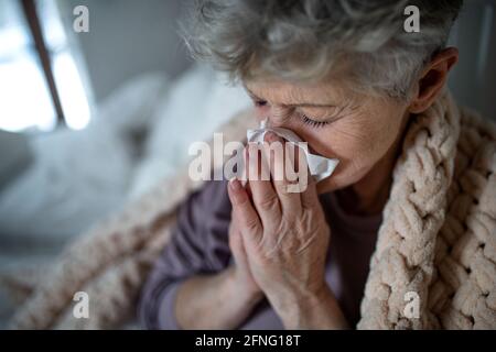 Kranke ältere Frau im Bett zu Hause, niesen und blasen Nase. Stockfoto