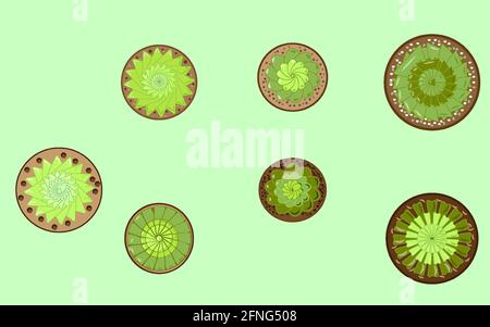 Zimmerpflanzen Set, kleine Sukkulenten Stock Vektor