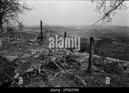 Natur / Landschaft / 1991 Tote Bäume in Tschechien, Grenze zum sächsischen Zinnwald. Die Bäume auf den Hügeln werden alle durch die Abgase der Braunkohlepflanzen zerstört. Auf der deutschen Seite der Grenze sind die toten Bäume weggeräumt worden, auf der tschechischen Seite ist alles zurückgelassen worden. // Natur / Waldeinschlag / Energie / Kohle / Bundesländer / Umwelt [automatisierte Übersetzung] Stockfoto
