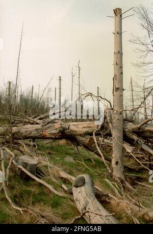 Natur / Landschaft / 1991 Tote Bäume in Tschechien, Grenze zum sächsischen Zinnwald. Die Bäume auf den Hügeln werden alle durch die Abgase der Braunkohlepflanzen zerstört. Auf der deutschen Seite der Grenze sind die toten Bäume weggeräumt worden, auf der tschechischen Seite ist alles zurückgelassen worden. // Natur / Waldeinschlag / Energie / Kohle / Bundesländer / Umwelt [automatisierte Übersetzung] Stockfoto