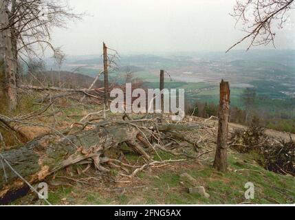 Natur / Landschaft / 1991 Tote Bäume in Tschechien, Grenze zum sächsischen Zinnwald. Die Bäume auf den Hügeln werden alle durch die Abgase der Braunkohlepflanzen zerstört. Auf der deutschen Seite der Grenze sind die toten Bäume weggeräumt worden, auf der tschechischen Seite ist alles zurückgelassen worden. // Natur / Waldeinschlag / Energie / Kohle / Bundesländer / Umwelt [automatisierte Übersetzung] Stockfoto