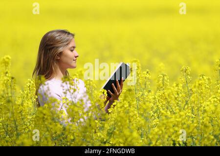 Seitenansicht Porträt einer Frau beim Lesen eines Papierbuches In einem gelben Feld im Frühjahr Stockfoto