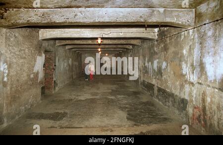 Polen / Geschichte / Konzentrationslager / 1999 Konzentrationslager Auschwitz, Hauptlager, Gaskammer // Juden / Nazis / Faschismus // UNESCO-Weltkulturerbe *** Ortsüberschrift *** Geschichte / Faschismus / Polen / Nationalsozialismus / Juden / Konzentrationslager Auschwitz (alter Teil). Gaskammer // UNESCO-Weltkulturerbe / [automatisierte Übersetzung] Stockfoto