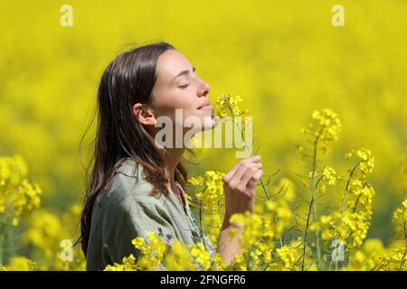 Profil einer Frau, die in einem gelben Feld Blumen riecht Stockfoto