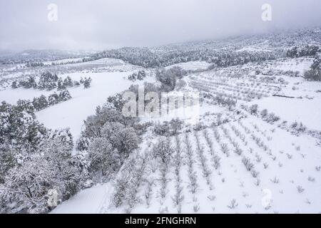 Luftaufnahme des Dorfes Ulldemolins und seiner Umgebung von Olivenhainen und Obstbäumen während eines Schneefalls (Priorat, Tarragona, Katalonien) Stockfoto