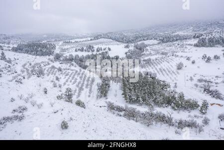 Luftaufnahme des Dorfes Ulldemolins und seiner Umgebung von Olivenhainen und Obstbäumen während eines Schneefalls (Priorat, Tarragona, Katalonien) Stockfoto