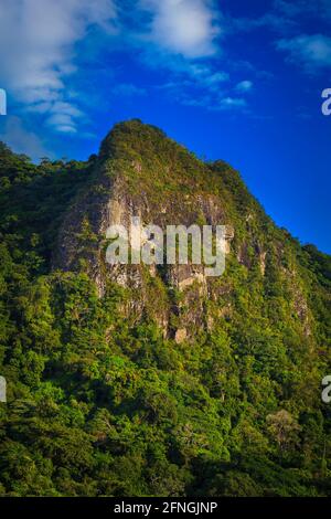 Am frühen Morgen Sonnenlicht auf dem schönen Berg Cerro la Cruz im Altos de Campana Nationalpark, Republik Panama, Mittelamerika. Stockfoto