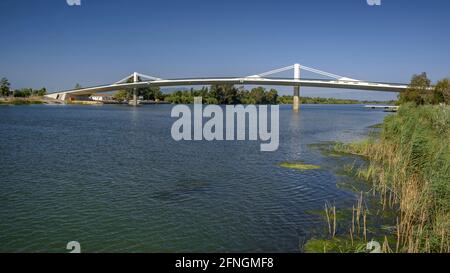 Lo Passador Brücke über den Ebro Fluss sein Delta zwischen Deltebre und Sant Jaume d'Enveja (Ebro Delta, Tarragona, Katalonien, Spanien) Stockfoto