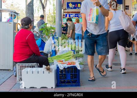 Eine asiatische Frau, die Gemüse und Pflanzen auf der Straße im Vorort Cabramatta in Sydney, Australien, verkauft Stockfoto