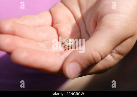 Makrofotografie einer kleinen Schneckenschale auf der Handfläche eines Kindes. Stockfoto