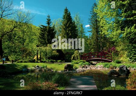 Rote Holzbrücke über kleinen Teich im Stadtpark Mozirje, Slowenien. Sommerzeit, grüne Bäume und blauer Himmel. Stockfoto