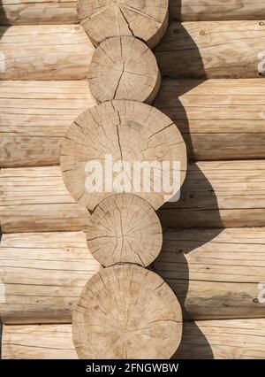 Natürliches Hintergrundmuster einer Blockwand. Der Bau der Holzhäuser aus den Stämmen. Stockfoto