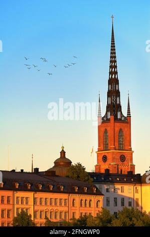 Riddarholm Kirche (riddarholmskyrkan), Riddarholmen Insel, Stockholm, Schweden Stockfoto