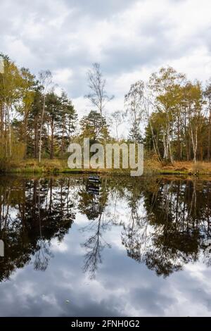 Der Fishpool in der liebenswürdigen Pond-Gegend von Chobham Common, in der Nähe von Woking, Surrey, im Frühling mit dunklen Wolken. Schild: Private Fischerei, nur Mitglieder Stockfoto