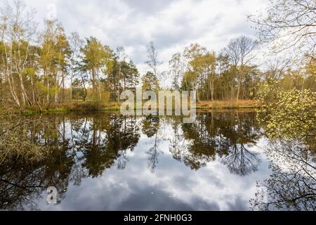 Der Fishpool in der liebenswürdigen Pond-Gegend von Chobham Common, in der Nähe von Woking, Surrey, im Frühling mit dunklen Wolken. Schild: Private Fischerei, nur Mitglieder Stockfoto