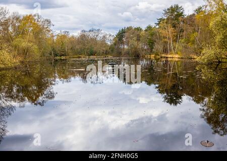 Der Fishpool in der liebenswürdigen Pond-Gegend von Chobham Common, in der Nähe von Woking, Surrey, im Frühling mit dunklen Wolken. Schild: Private Fischerei, nur Mitglieder Stockfoto