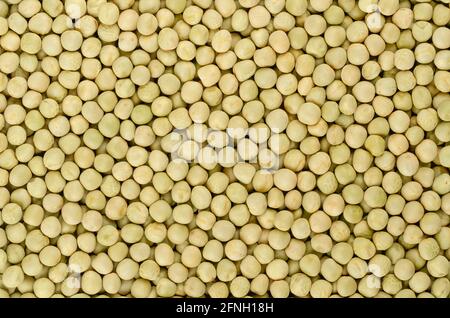 Getrocknete ganze Erbsen, Hintergrund, von oben. Rohe kleine kugelförmige Samen der Hülse Pisum sativum mit grünlicher und gelblicher Farbe. Stockfoto