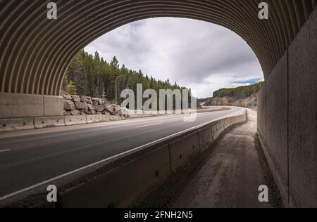 Autobahnunterführung auf dem Trans Canada Highway in der Nähe von Lake Louise, Alberta, Kanada Stockfoto