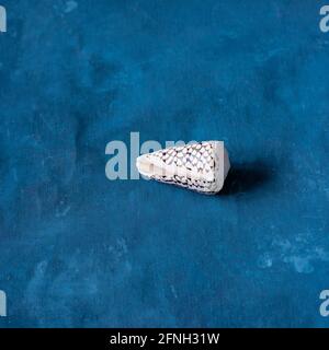 Schwarzer Kegel auf blauem Hintergrund. Conus Marmoreus. Schale Mit Weißem Dreieck. Stockfoto