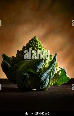 Römischer Blumenkohl auch bekannt als Broccolo Romanesco, romanischer Blumenkohl oder einfach Romanesco. Stockfoto