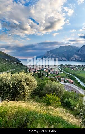 Olivenhaine über dem Dorf Torbole und dem Gardasee. Provinz Trient, Trentino-Südtirol, Italien, Europa. Stockfoto