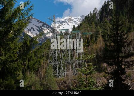 Hochspannungsleitungen neben Nadelbäumen in den Bergen Stockfoto