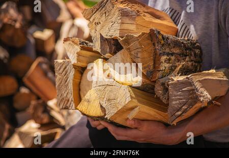 Ein Haufen gestapelt, Brennholz, für die Heizung des Hauses vorbereitet. Sammeln von Brennholz für den Winter oder Lagerfeuer. Mann hält das Brennholz in der Hand Stockfoto