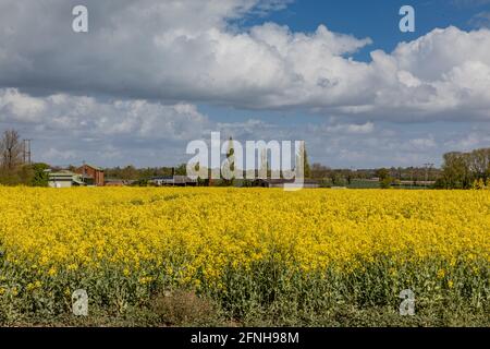 Burnham-on-Crouch Standortfotografie Stockfoto