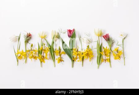 Frühlingsrahmen aus kleinen Blumen und Gänseblümchen, Blumenarrangement Stockfoto