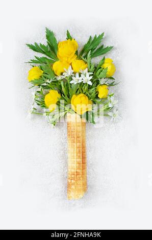 Blumen eines gelben Badeanzuges in einem Waffeleisen auf hellem Hintergrund. Frühjahrskonzept Stockfoto