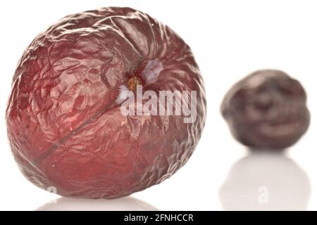 Zwei dunkle getrocknete Pflaumen, Makro, auf weißem Hintergrund. Stockfoto