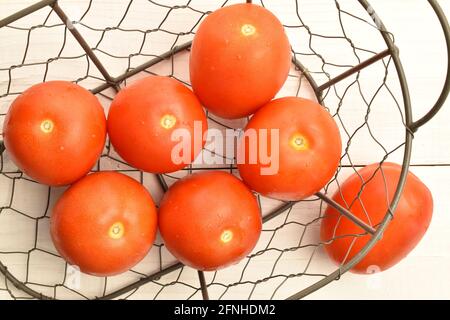 Mehrere leuchtend rote reife Tomaten in einem Korb auf einem weißen Holztisch, Draufsicht. Stockfoto